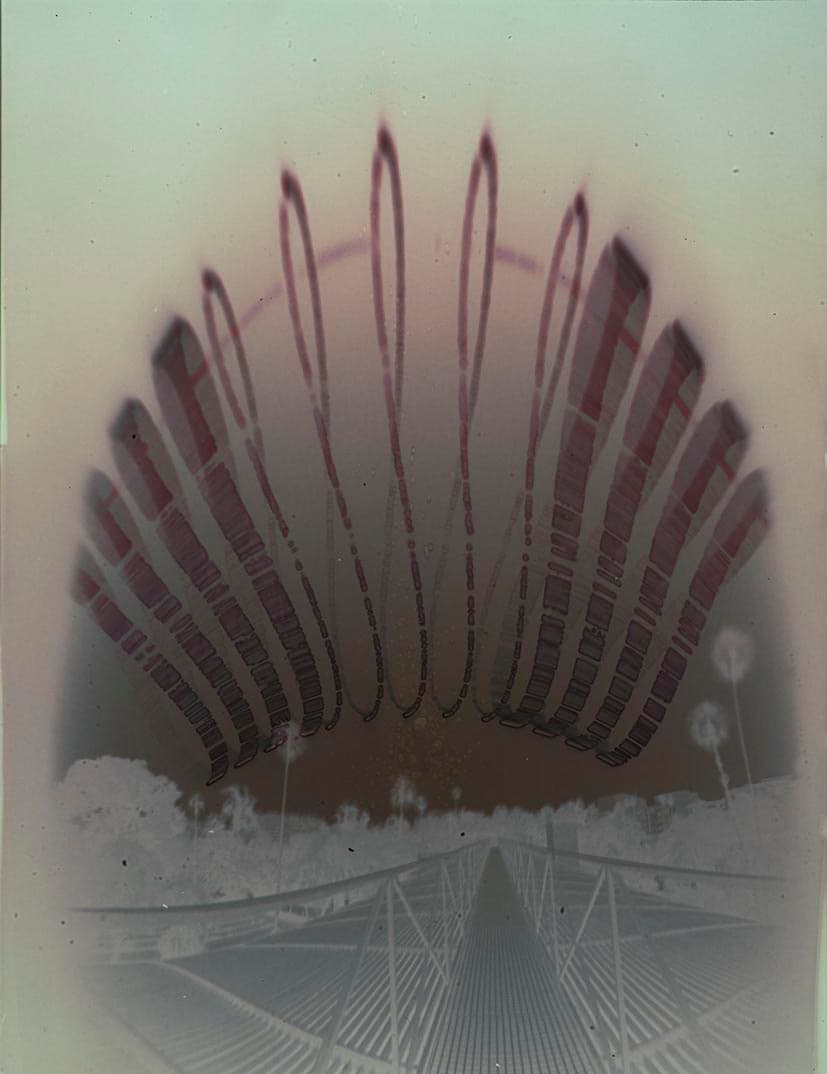 Fotografía destacada del archivo de obra de Analema.